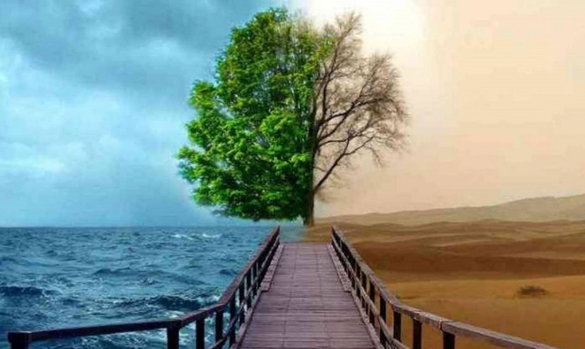 Ứng Phó Sự Cố Và Đánh Giá Thiệt Hại Môi Trường