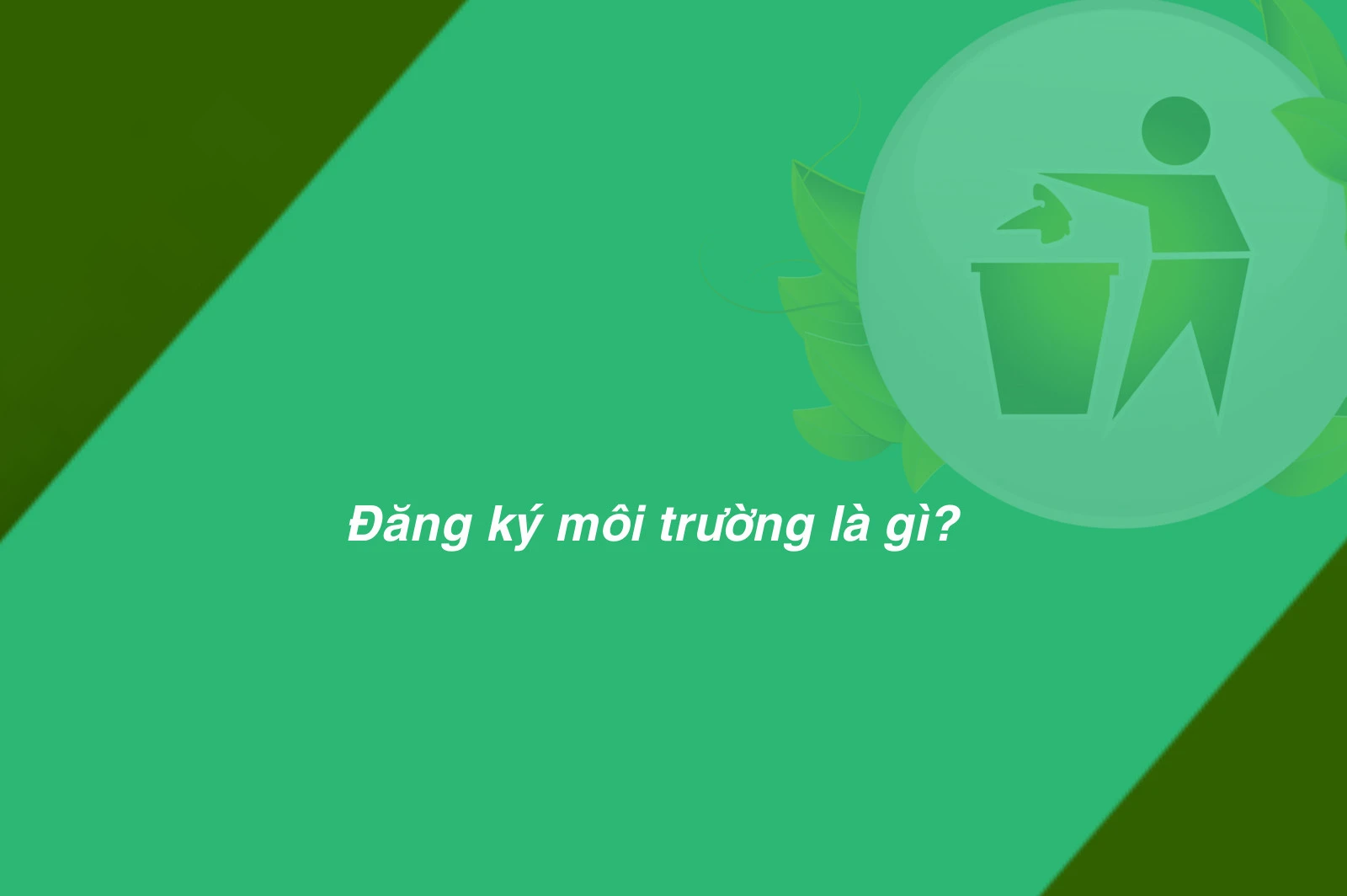 Thủ Tục Đăng Ký Môi Trường Và Những Điều Cần Lưu Ý 